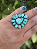 Sonoran cluster